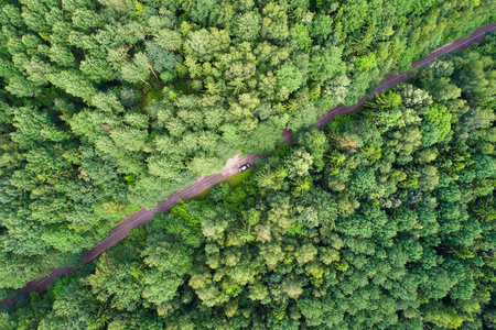 绿色森林与道路从上面。汽车在森林中穿行。度假背景