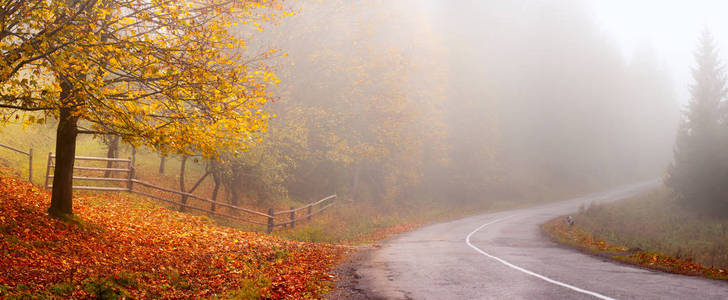 秋天的风景。秋季背景。秋天的全景与道路。在雾路上的黄树