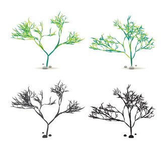 海藻海藻手拉水植物与石头设置隔离在白色与剪影在媒介