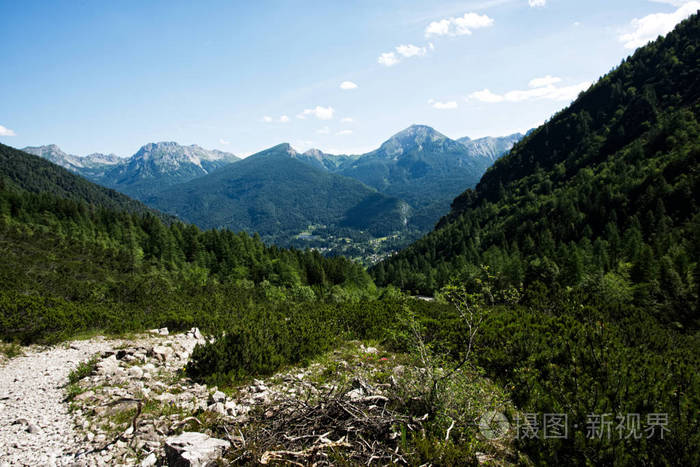 景观徒步旅行到 Pacherini 避难所从 Forni di Sopra