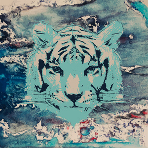 老虎脸贴图图片