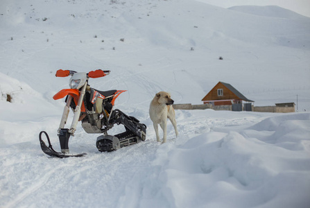 耐力 Snowbike 雪橇旅行与越野车高在山