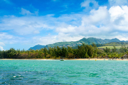 热带海岸的美丽的夏天风景