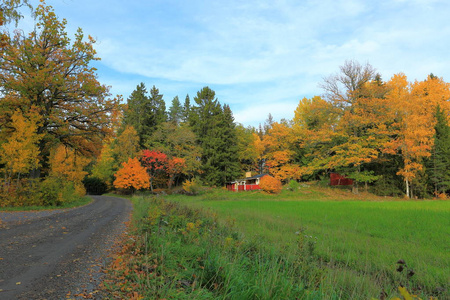 美丽的乡村风景在秋天的一天。绿色的橙色树和仍然绿草场。美丽多彩的自然背景