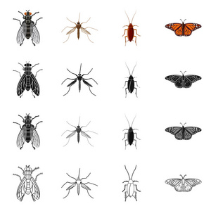 昆虫和飞行符号的孤立对象。收集昆虫和元素矢量图标的股票