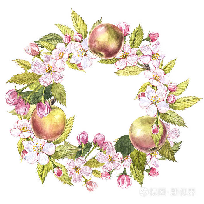 手绘水彩花环的苹果和树叶插图在白色背景下分离的水彩植物学插图