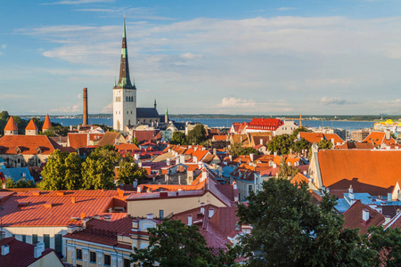 爱沙尼亚的老城天际线