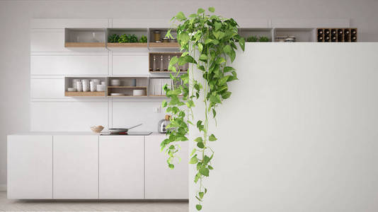 绿色室内设计理念背景与拷贝空间, 前景白色墙壁与盆栽植物, 极小的白色厨房