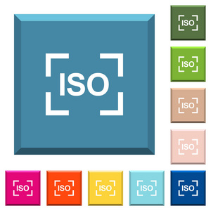 相机 iso 速度设置在各种时髦颜色的边方形按钮的白色图标