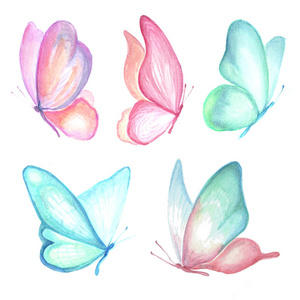 飞行的蝴蝶集合幅水彩画照片