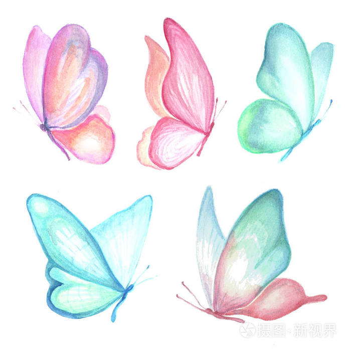 飞行的蝴蝶集合幅水彩画