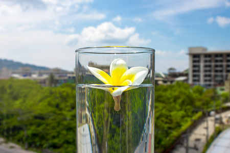 一朵 Frangipana 在玻璃上的花, 有水在大自然的背景下。温泉和生态学的概念。复制空间1