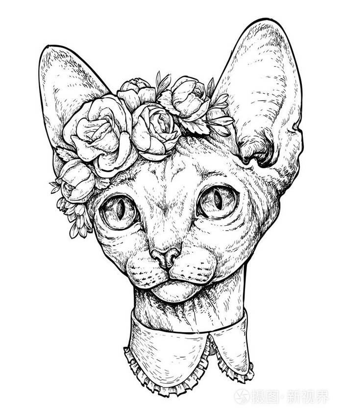 在白色上隔离的矢量插图插画-正版商用图片080ja2-摄图新视界