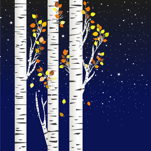 白桦树摆锤图片