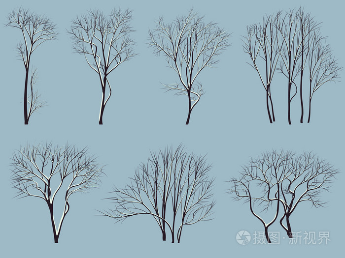 没有雪的叶子的树的剪影插画-正版商用图片080oop-摄图新视界