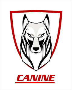 狼, 白狼和盾牌照片