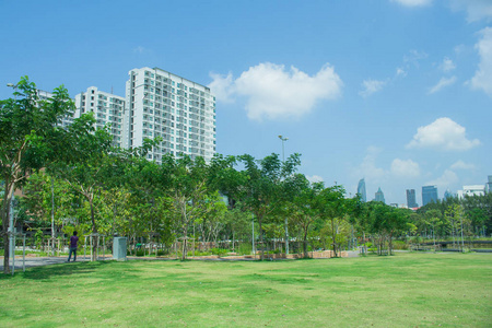 风景秀丽的绿色草甸领域在公共公园与城市大厦在背景上