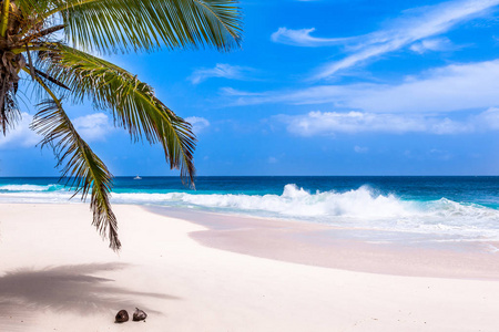 Seychelles, Paradise beach. La Digue at Anse Lazio, Source dA