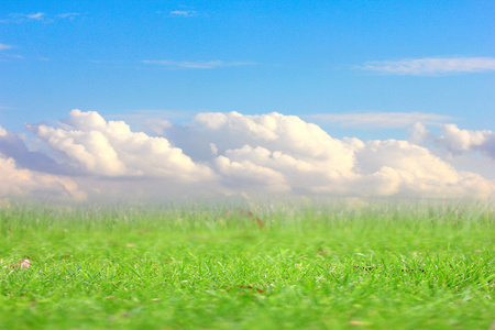 草甸和天空
