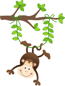 在树上的猴子图片