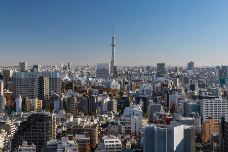 东京城景基督徒蓝天, 日本