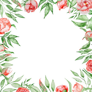 浪漫框架与花卉卡模板。水彩牡丹与绿叶在白色背景。手绘插图