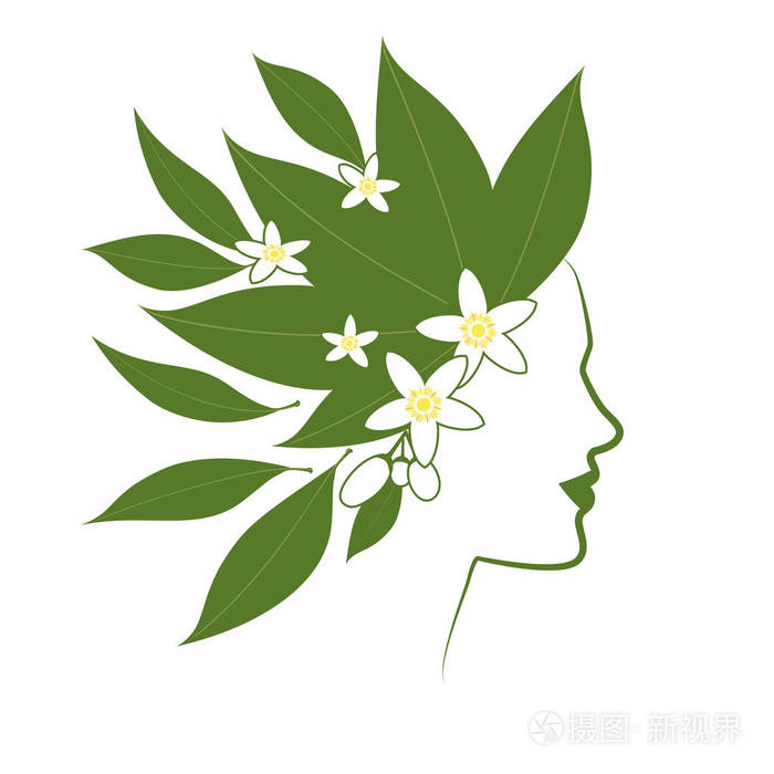妇女的外形线以花和橙色绽放叶子作为头发插画-正版商用图片081600-摄
