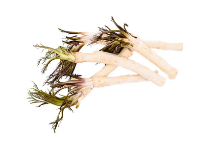 新鲜去皮的辣根在白色背景, 健康食品和生活方式的根照片