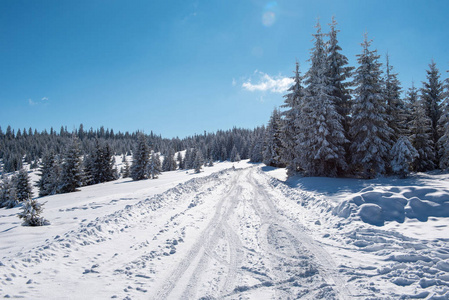 森林里的雪山乡间小路