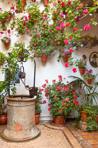 庭院用鲜花装饰和老井