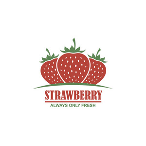 白色背景草莓五颜六色的标志