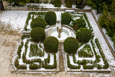 冬花坛雪与常绿植物图片