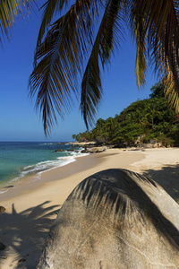 墨西哥哈利斯科 Pizota 附近的热带海滩