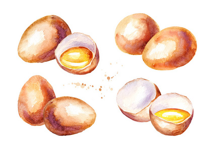 鸡蛋隔离图片-鸡蛋隔离素材-鸡蛋隔离插画-摄图新视界