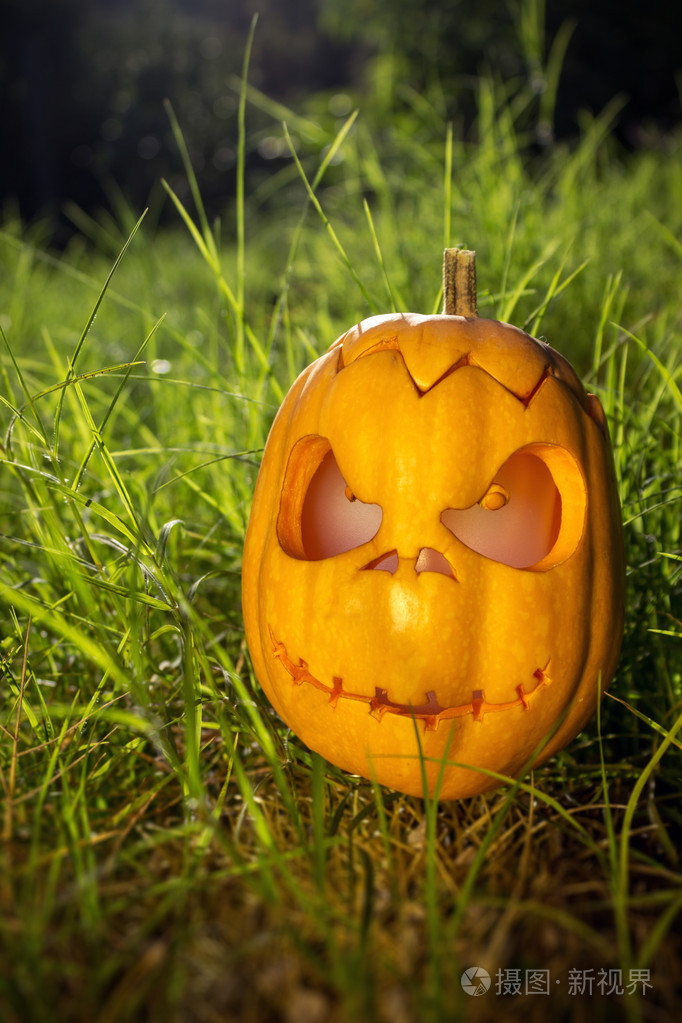 在gren草万圣节恐怖南瓜