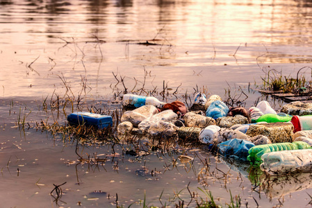 河里的垃圾塑料垃圾在河里照片