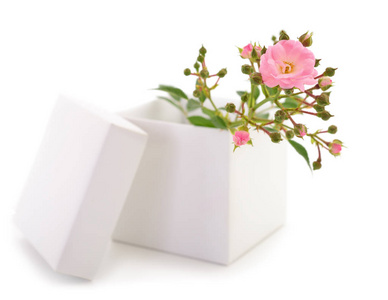 礼品盒和玫瑰花被隔离在白色