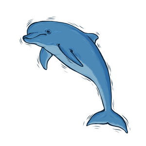 手绘蓝海豚黑线艺术