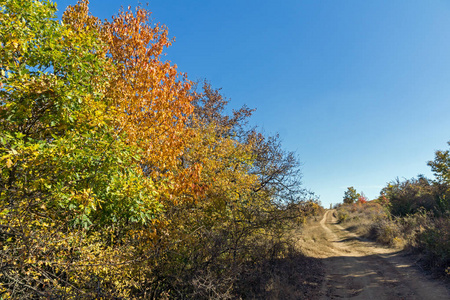 黑波利亚纳山强罗 蒙黑 山的秋季景观, 佩尔尼克地区, 保加利亚