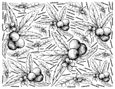 白底 Muntingia Calabura 果的手绘