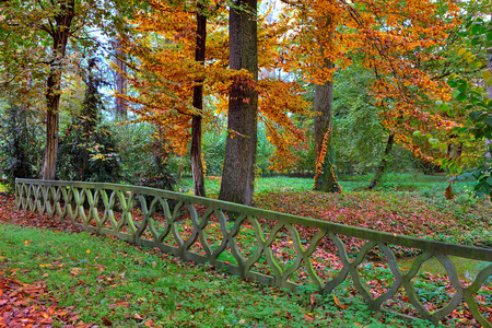 在意大利的秋季公园