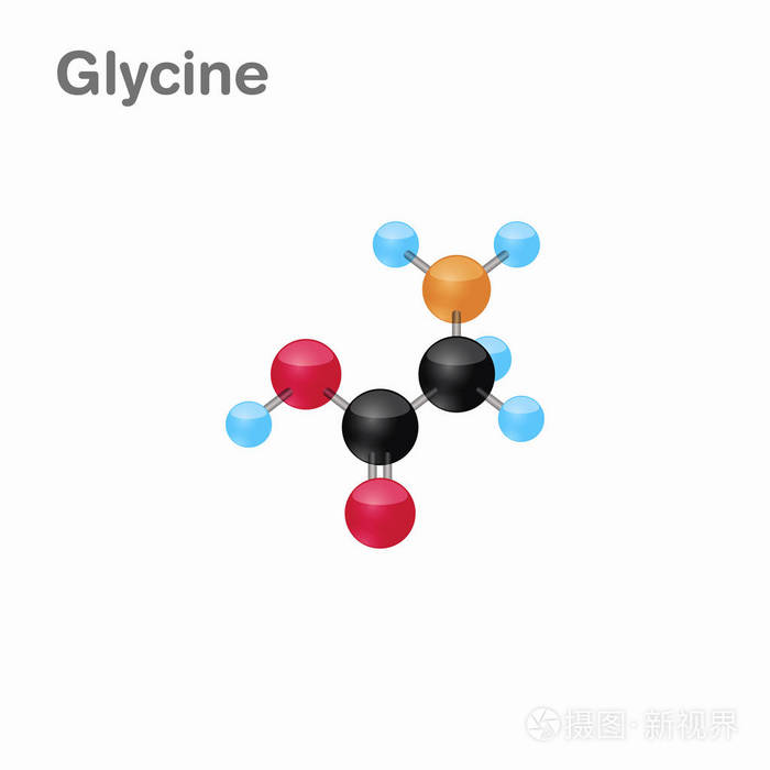 甘氨酸,甘的分子 omposition 和结构, 对书籍和教育最有利