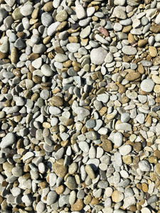 用海水处理的小光滑的石头。黑海沿岸的鹅卵石海滩