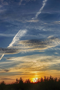 太阳的光.清晨, 炎炎夏日照片