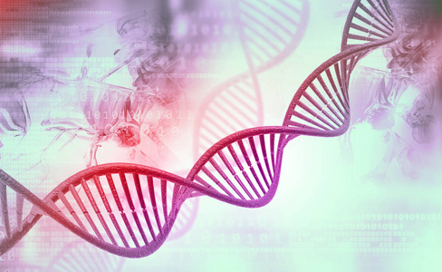 Dna 分子的数字例证