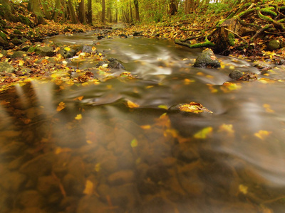 山区河流的水的低水平，砾石与第一个多彩的树叶。树上的叶子长满苔藓的岩石和巨石上河银行，绿色蕨类植物，新绿