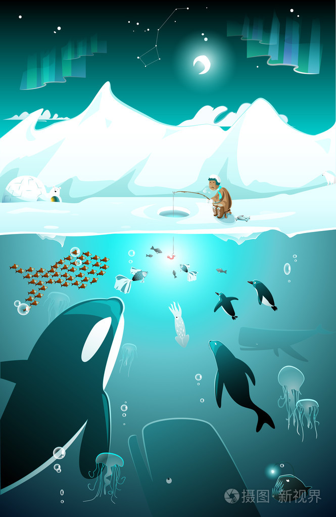 水下北极海洋生物插画-正版商用图片082a70-摄图新视界