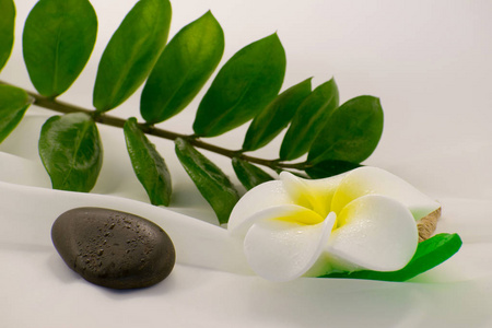 spa 静物在白色背景, 放松和水疗概念。绿叶和黑色湿石头