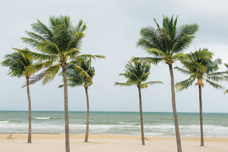 热带海滩与棕榈树 蓝蓝的天空和白色的沙滩