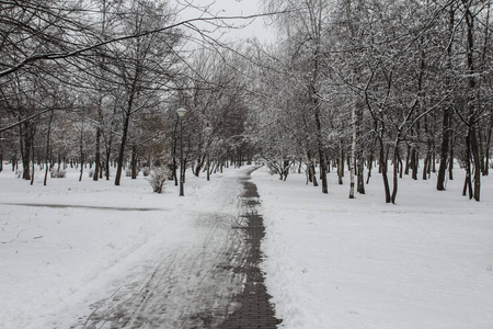 在基辅的一个冬天, 白雪覆盖的公园里的一条小路。乌克兰